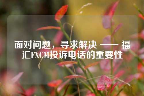 面对问题，寻求解决 —— 福汇FXCM投诉电话的重要性