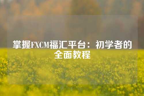 掌握FXCM福汇平台：初学者的全面教程