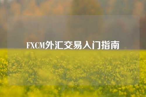 FXCM外汇交易入门指南